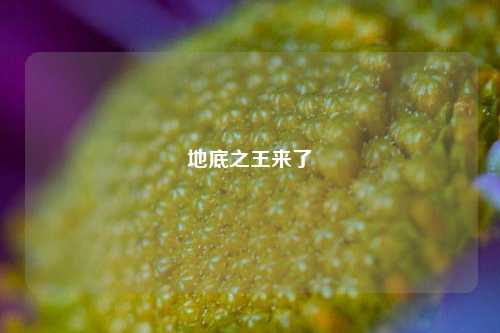 地底之王来了