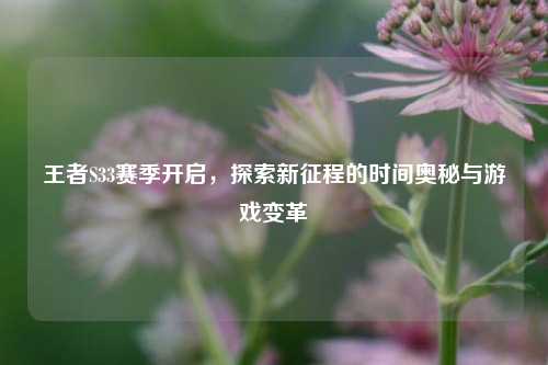 王者S33赛季开启，探索新征程的时间奥秘与游戏变革