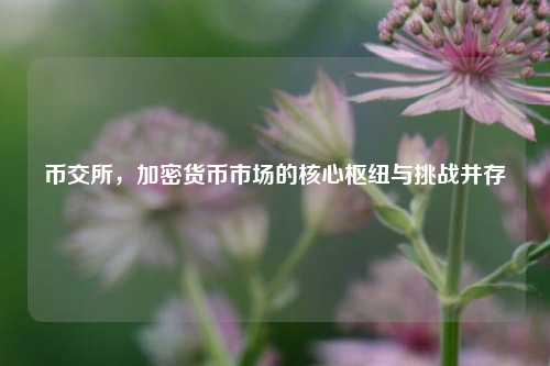 币交所，加密货币市场的核心枢纽与挑战并存
