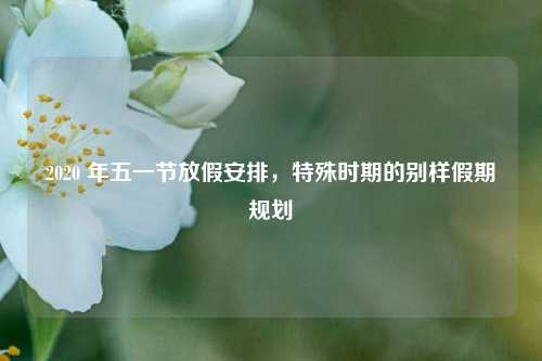 2020 年五一节放假安排，特殊时期的别样假期规划