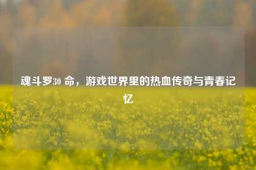 魂斗罗30 命，游戏世界里的热血传奇与青春记忆