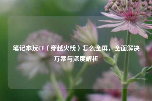 笔记本玩CF（穿越火线）怎么全屏，全面解决方案与深度解析