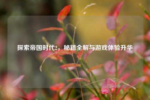 探索帝国时代2，秘籍全解与游戏体验升华
