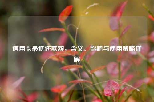 信用卡更低还款额，含义、影响与使用策略详解