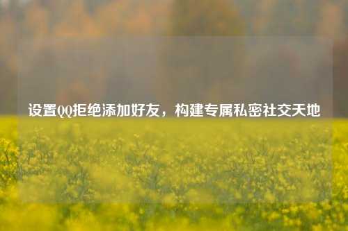 设置 拒绝添加好友,构建专属私密社交天地