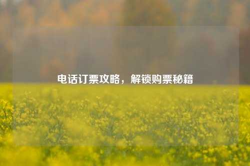      订票攻略，解锁购票秘籍