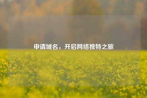 申请域名，开启     独特之旅