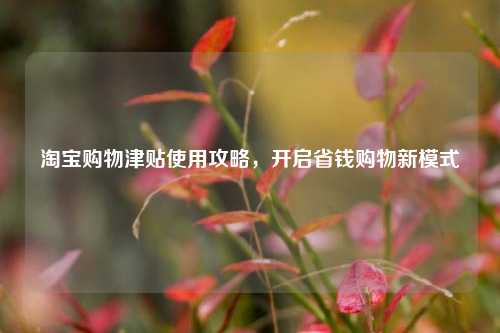      购物津贴使用攻略，开启省钱购物新模式
