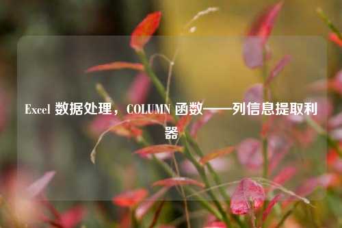 Excel 数据处理,COLUMN 函数——列信息提取利器