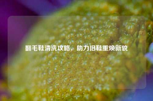 翻毛鞋清洗攻略，助力旧鞋重焕新貌