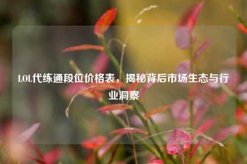 LOL代练通段位价格表，揭秘背后市场生态与行业洞察