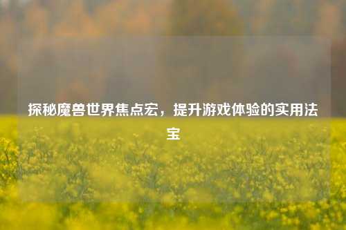 探秘魔兽世界焦点宏,提升游戏体验的实用法宝