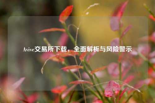 Avive交易所下载，全面解析与风险警示