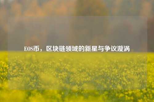 EOS币，区块链领域的新星与争议漩涡