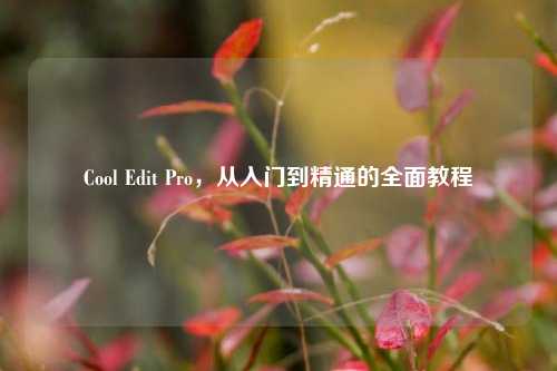 Cool Edit Pro，从入门到精通的全面教程