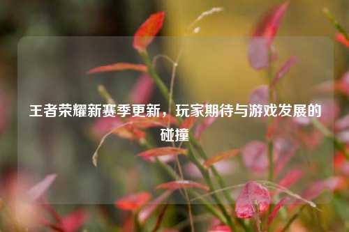 王者荣耀新赛季更新,玩家期待与游戏发展的碰撞
