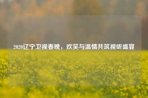 2020辽宁卫视春晚,欢笑与温情共筑视听盛宴