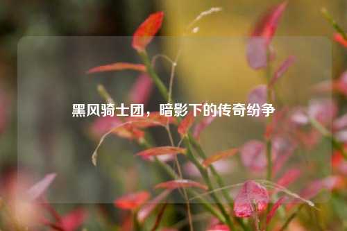 黑风骑士团,暗影下的传奇纷争