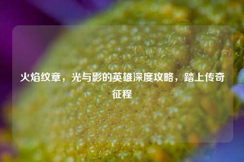 火焰纹章,光与影的英雄深度攻略,踏上传奇征程
