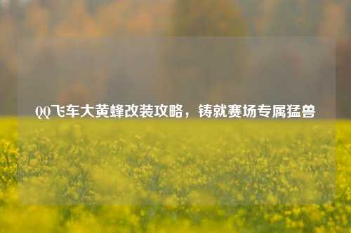 飞车大黄蜂改装攻略,铸就赛场专属猛兽