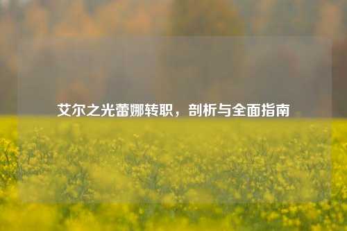 艾尔之光蕾娜转职,剖析与全面指南
