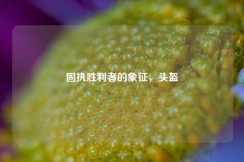 固执胜利者的象征,头盔