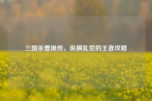 三国杀曹操传,纵横乱世的王者攻略
