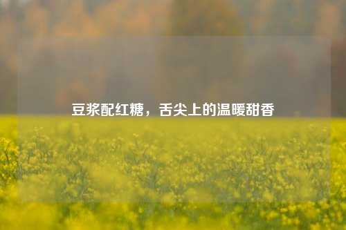 豆浆配红糖,舌尖上的温暖甜香