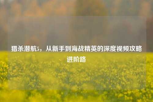 猎杀潜航5，从新手到海战精英的深度视频攻略进阶路
