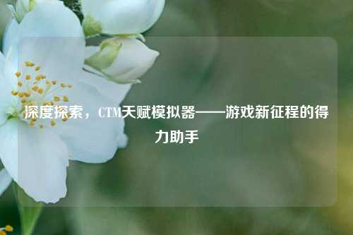 深度探索，CTM天赋模拟器——游戏新征程的得力助手