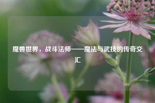 魔兽世界,战斗法师——魔法与武技的传奇交汇