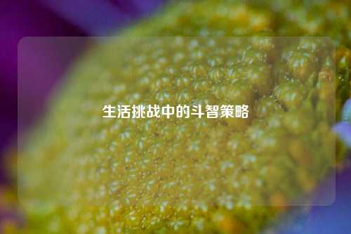 生活挑战中的斗智策略