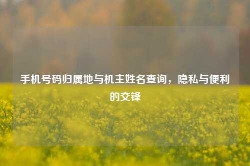 手机号码归属地与机主姓名查询，隐私与便利的交锋