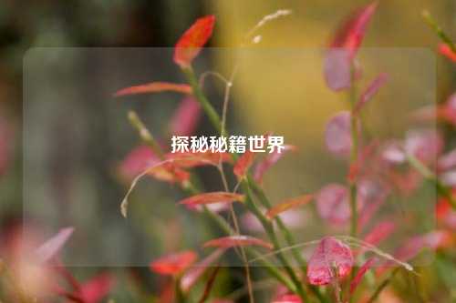 探秘秘籍世界