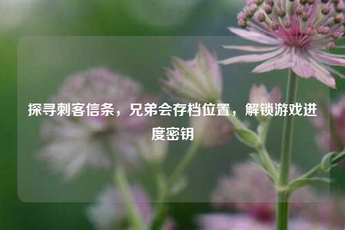 探寻刺客信条，兄弟会存档位置，解锁游戏进度密钥