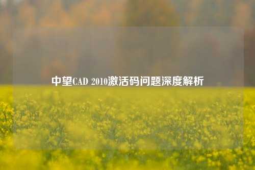 中望CAD 2010激活码问题深度解析