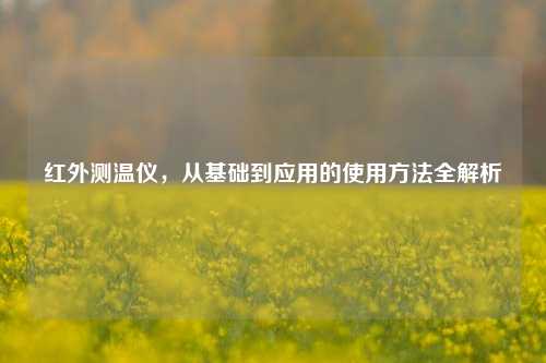 红外测温仪,从基础到应用的使用 全解析