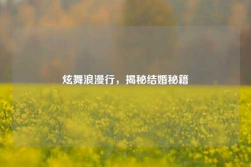 炫舞浪漫行，揭秘结婚秘籍