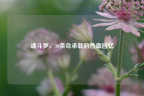 魂斗罗,30条命承载的热血回忆
