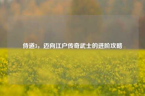 侍道3，迈向江户传奇武士的进阶攻略