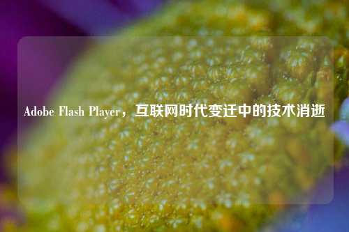 Adobe Flash Player,互联网时代变迁中的技术消逝