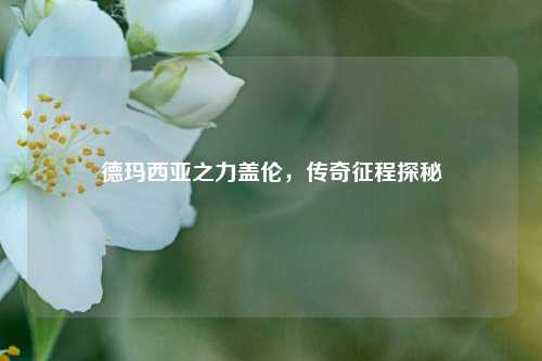 德玛西亚之力盖伦,传奇征程探秘