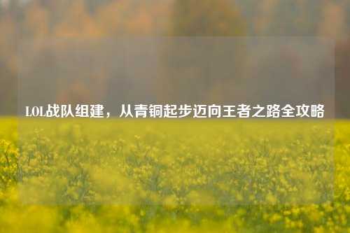 LOL战队组建,从青铜起步迈向王者之路全攻略
