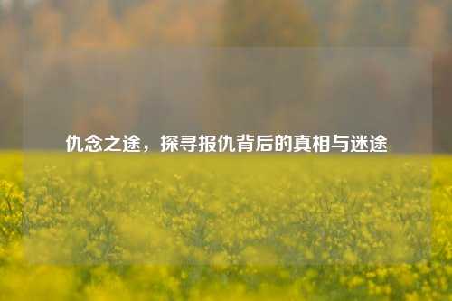 仇念之途，探寻报仇背后的真相与迷途