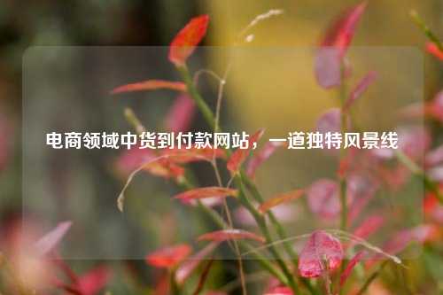 电商领域中货到付款网站,一道独特风景线