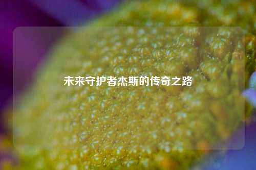 未来守护者杰斯的传奇之路