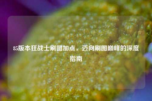 85版本狂战士刷图加点，迈向刷图巅峰的深度指南