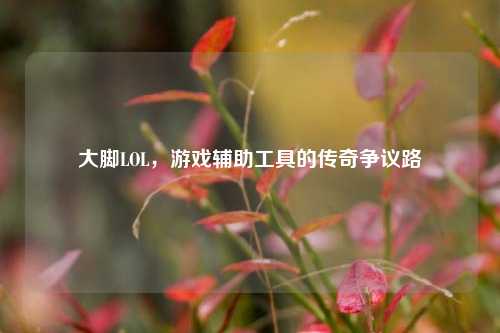 大脚LOL，游戏辅助工具的传奇争议路