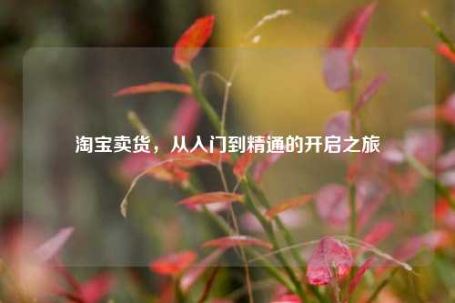      卖货，从入门到精通的开启之旅