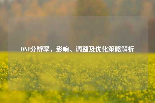 DNF分辨率，影响、调整及优化策略解析